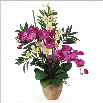 Nearly Natural Double Phal and Dendrobium Silk Flower Arrangement in Orchid Cream