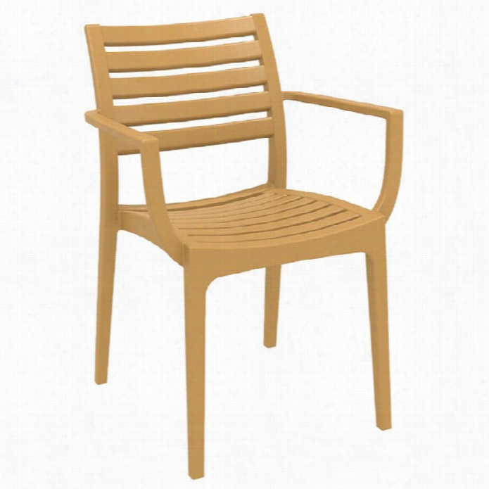 Compamia Artemis Outdoor Dining Arm Chair In Teak Brown