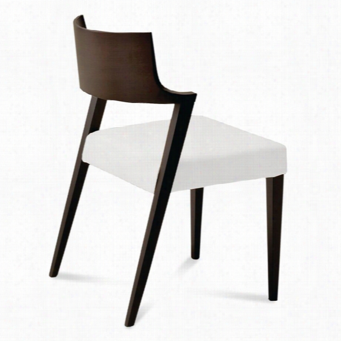Domitalia Lirica Dining Chair  In White And Wenge B Roown