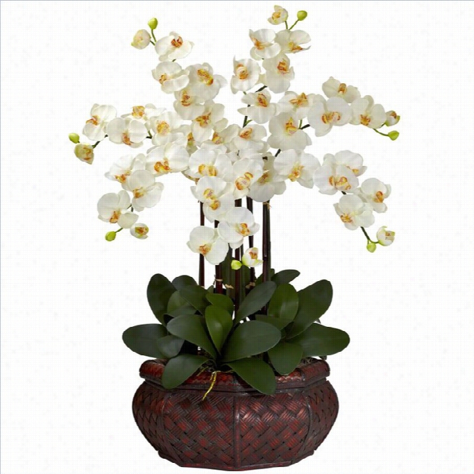 Nearly Natural Large Phalaenopsis Silk Flower Arrangement In Cream