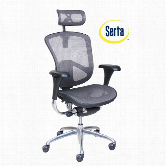 Serta At Home Rincon Ergonomic Executive Mesh Office Chair In Silver