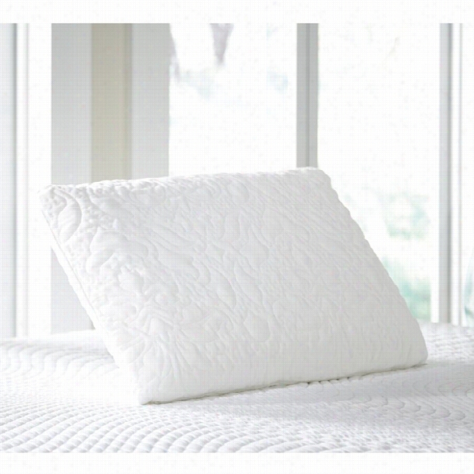 Sierrasleep Queen Latex Pillows In White( Set Of 2)