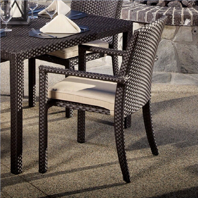 Sunset West Solana Dining Armchair In Chocolate