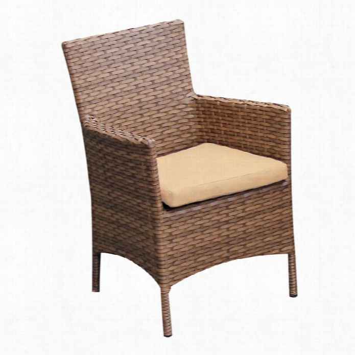 Tkc Laguna Wicker Patio Arm Dining Chairs In Sesame (set Of 2)