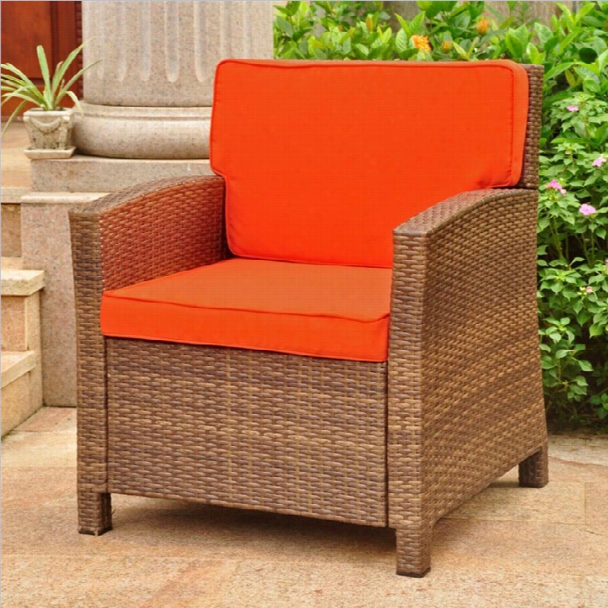 International Caravan Valencia  Outdoor Patio Chair In Antiqque Brown And Tangerine Dream