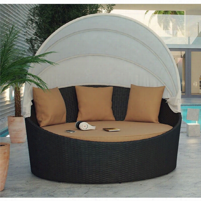 Modway Siesta Canopy Patio Daybed In Espesso And Mocha