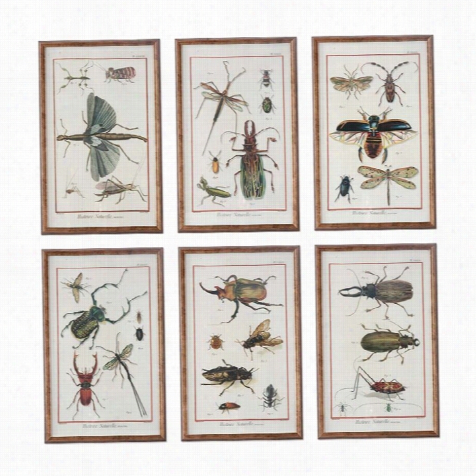 Uttermost Multi Insect Print S(set Of 6)