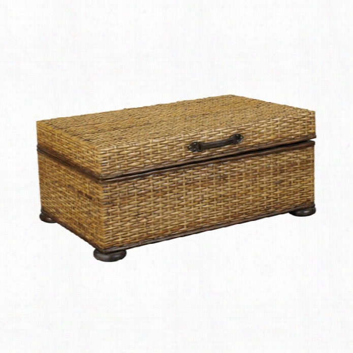 Hammary Abstruse Treasures Woven Rattan Trunk Coffee Table In Light Distressed Finish