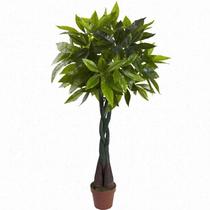 Nearly Natural 4' Money Plant (real Touch)