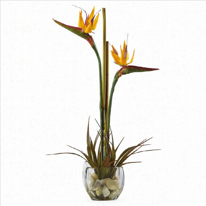 Nearlly Natural Bird Of Paradise Liquid Illusion Silk Arrangement In Orangr