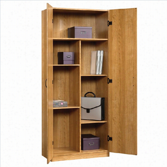 Sauder Beginnings Storage Cabinet In Highland Oka