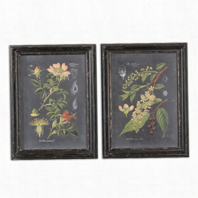 Utteermost Midnight Botanicals Wall Art (set Of 2)