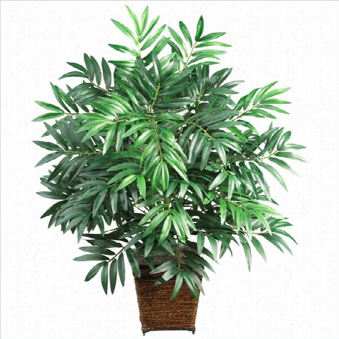 Closely Natuural Bamboo Palm With Wicker Baket Silk Plant In Green