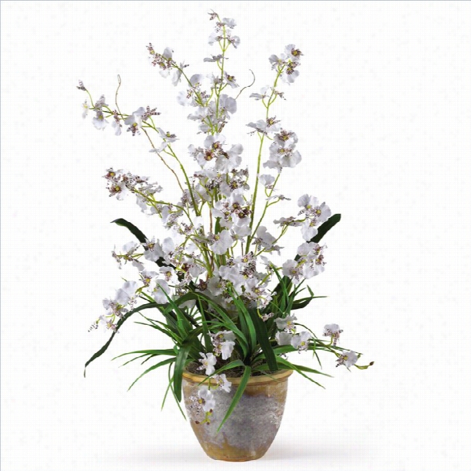 Nearly Natural Dancing Lady Silk Orchid Arrangement In White