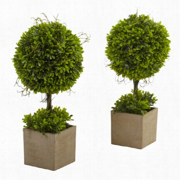 Nearly Natural Boxwood Ornamental  Iwth Planter (set Of 2)