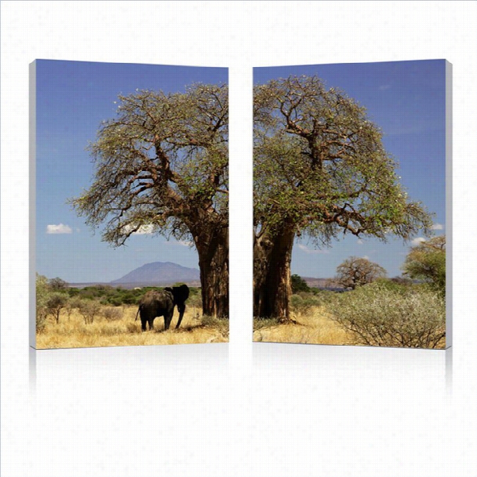 Baaxton Studio Tree Of Life Mounted Print Diptych In Multicolor