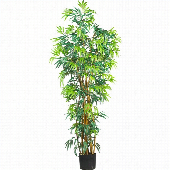 Almost Natural 6' Curved Bamboo Silk Tree In Green