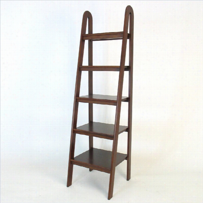 Wayborn Basswood  Row Ladder Bookcase In Brown