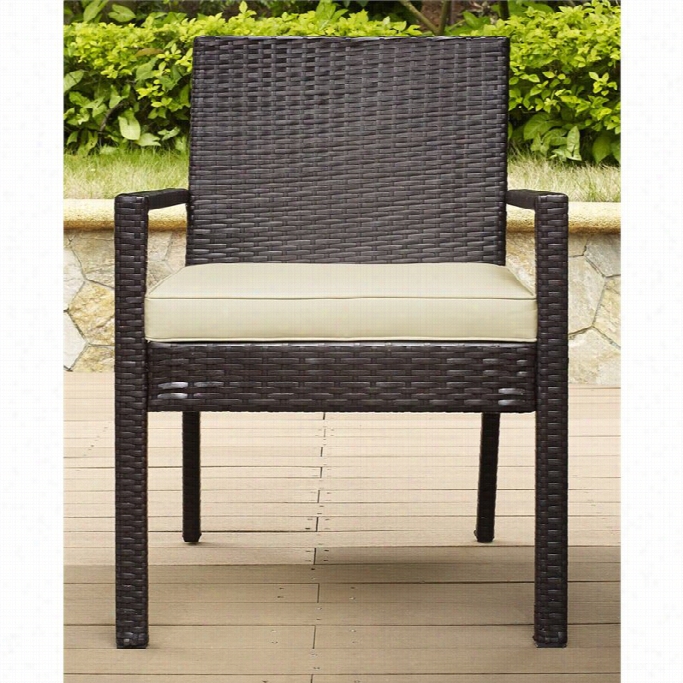 Crosley Palm Harbor Outdoor Wicker Dining Chair In Black