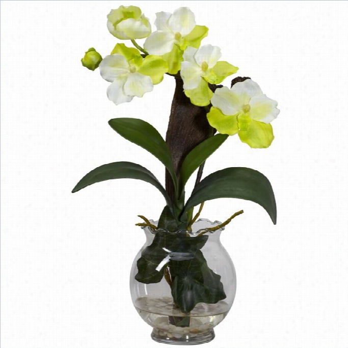 Nearly Natuall Mini Vanda With Ffluted Vase Silk Flower Arrangement In Hite