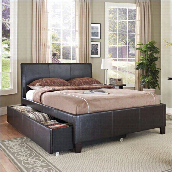 Standard Furniture Twinn New York Trundle Bed In Brown