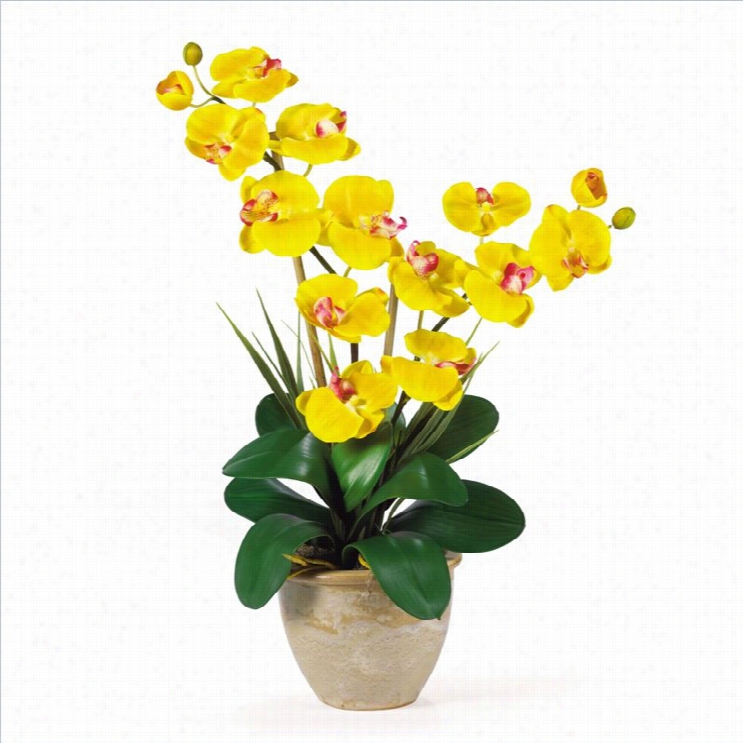 Closely Natueal Double  Phalaenopsis Silk Orchid Flower Arrangement In Yellow