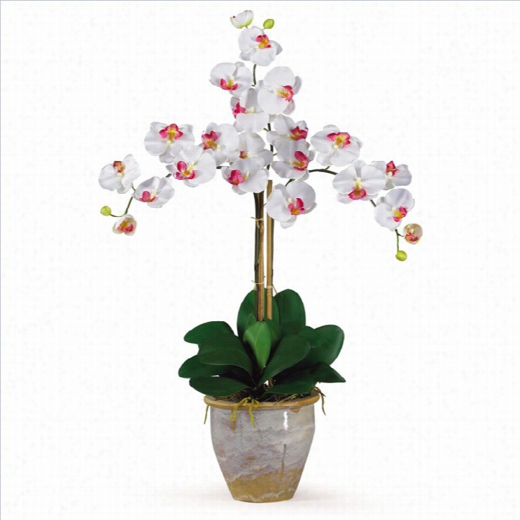 Nearly Natural Triple Palaenopsis Silk Orchid Flower Arrangement In White