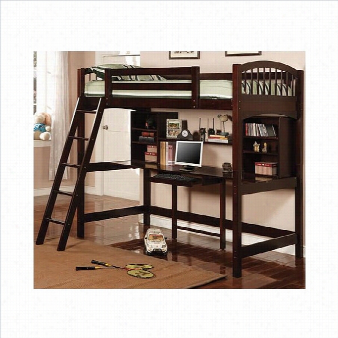 Coaster Twin Wood Loft Buk Bed With Workstation In Cappucccino Finish