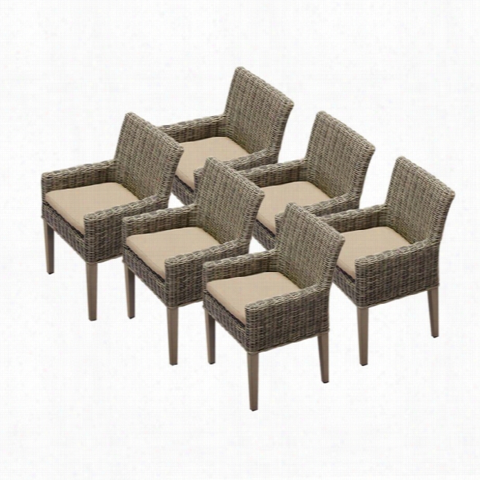 Tkc Cape Cod Wicker Paio Arm Dining Chairs  In Hweat (set Of 6)