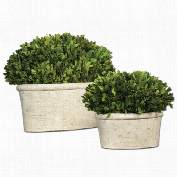 Uttermost Oval Domes Preserves Boxwood (set Of 2)