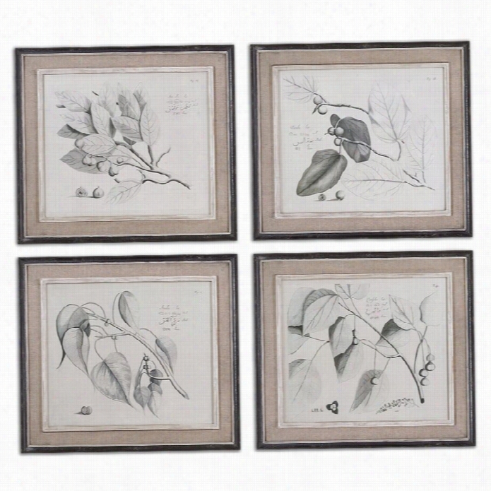 Uttermost Sepia Leaf Study Framed Wa Ll Art In Black (se Tof 4)