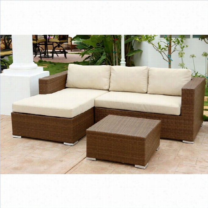 Abbysno Living Palermo Outdoo Rwickrr Sectional And Table Set In Brown