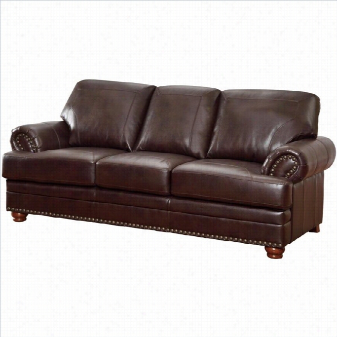 Coaster Colton Leather Couch In Brown