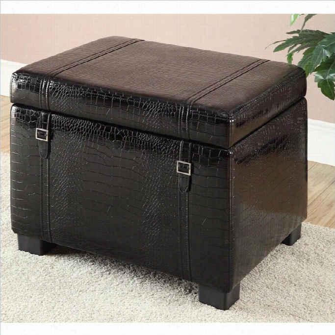 Homestar Inspirations Broyhill Faux Leather Storage Ottoman In Black