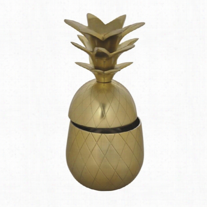 Reenwil Pineapple Box In Gold