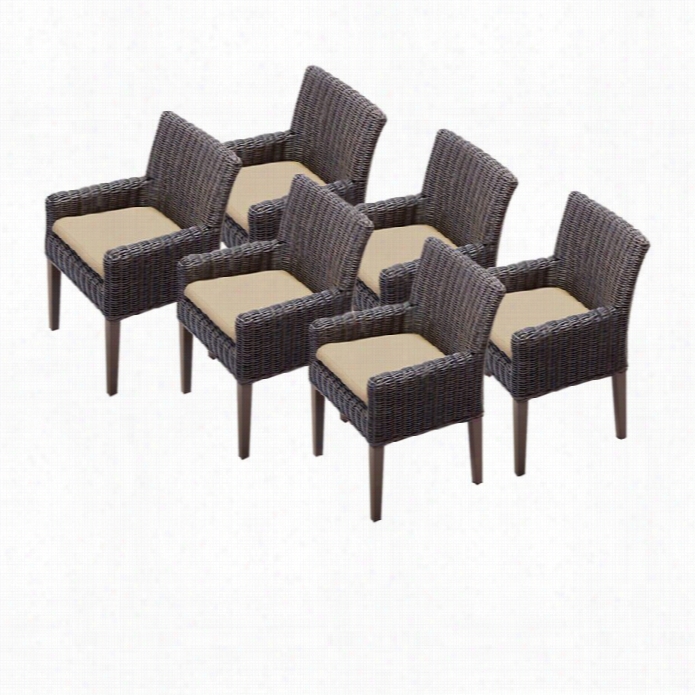 Tkc Venice Wicker Patio Arm Dining Chairs In Wheat (set Of 6)