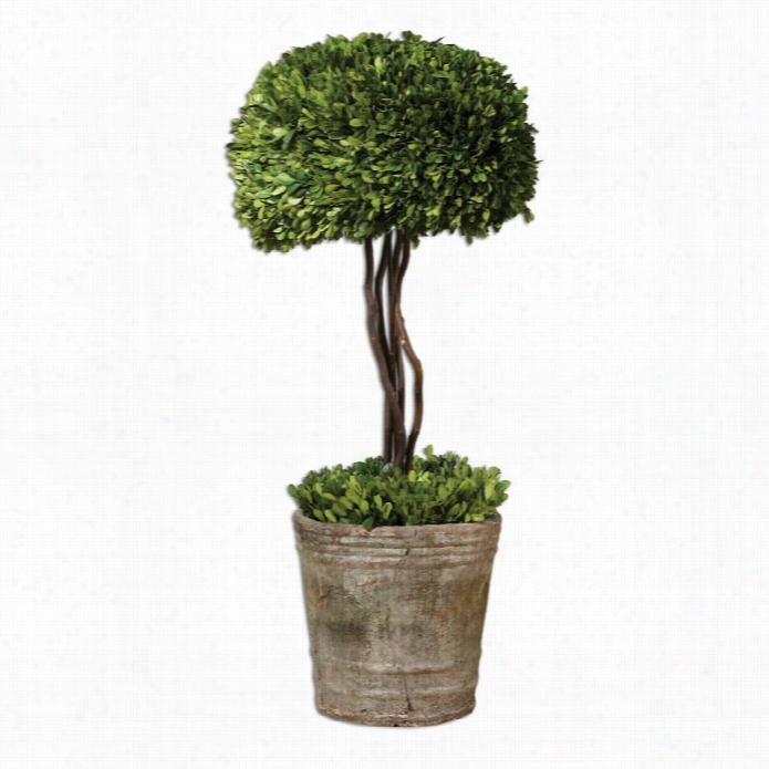Uttermost Tree Topiary Preserved Boxwood In Natural Evergreen