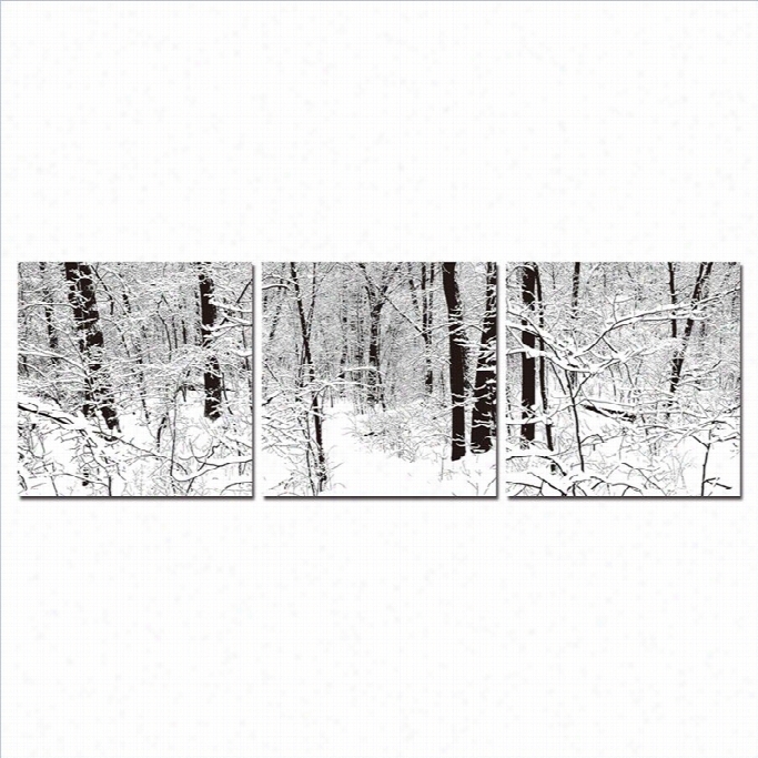 Baxton Studio Winter Woods Mounted Print Tr1ptych In Multicolor