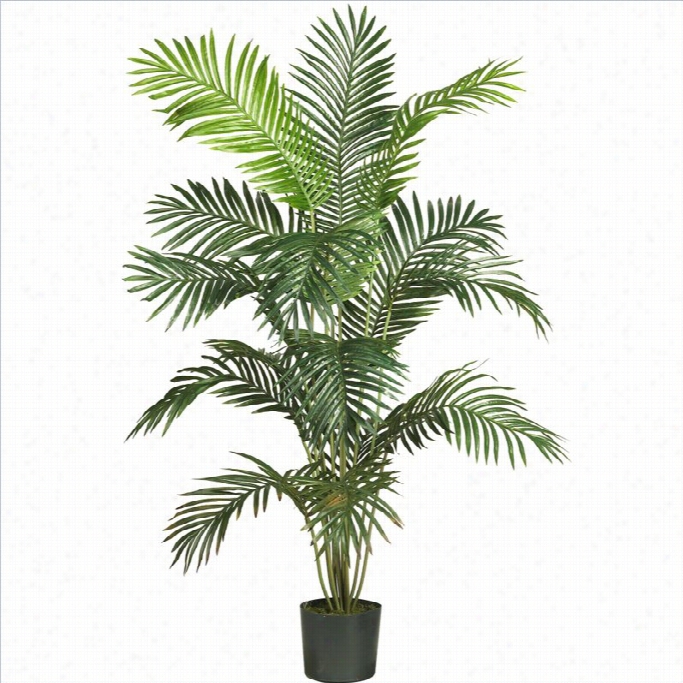 Nearly Naatural 6' Paraidise Palm In Green