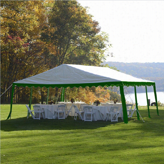 Shelterlogic 20'x20' Party Tent In Green And Whkte