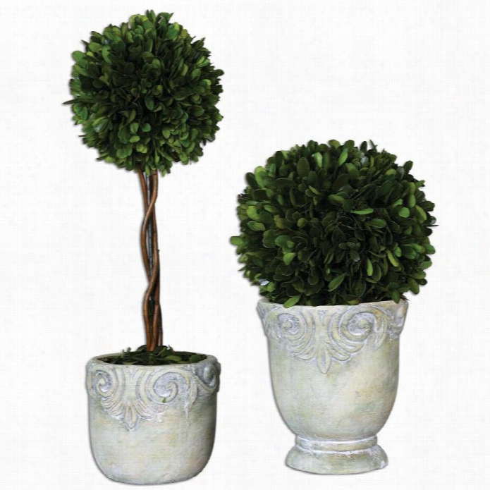 Uttermost Preserved Boxwood Ball Topiaries (set Of 2)