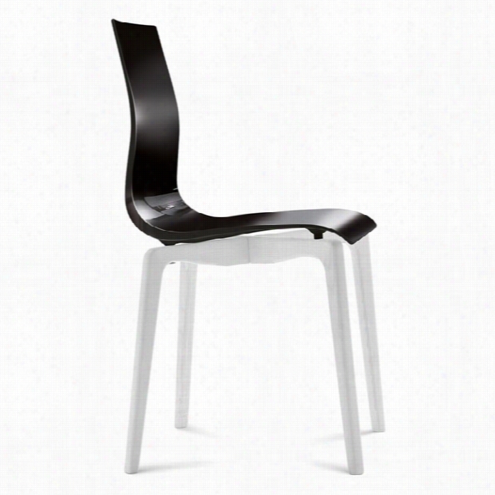 Domitalia Gel-l Diinng Chair In Black With White Leggs