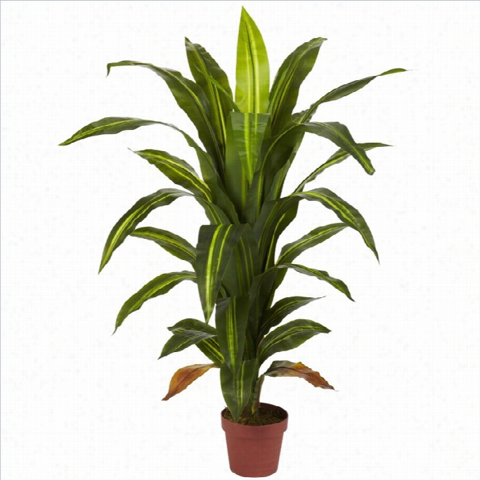 Nearly Natural 4' Dracaena Silk Plant In Lawn