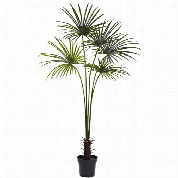 Nearlyn Atural 7' Fan Palm Tree Uv Resistant (indoor-outdoor)