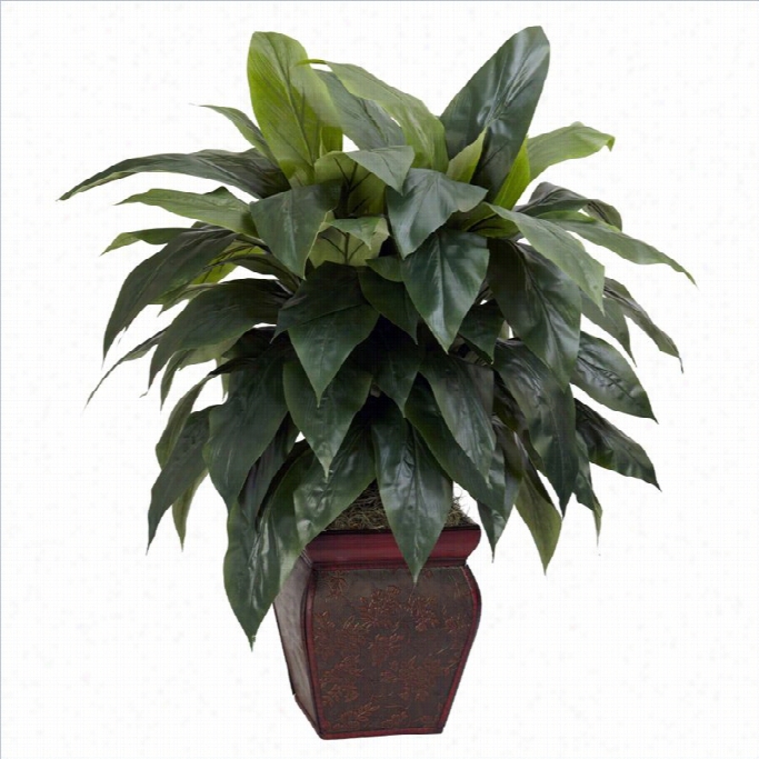 Nearly Natural Cordyline With Decorative Vase Silk Plant In Green