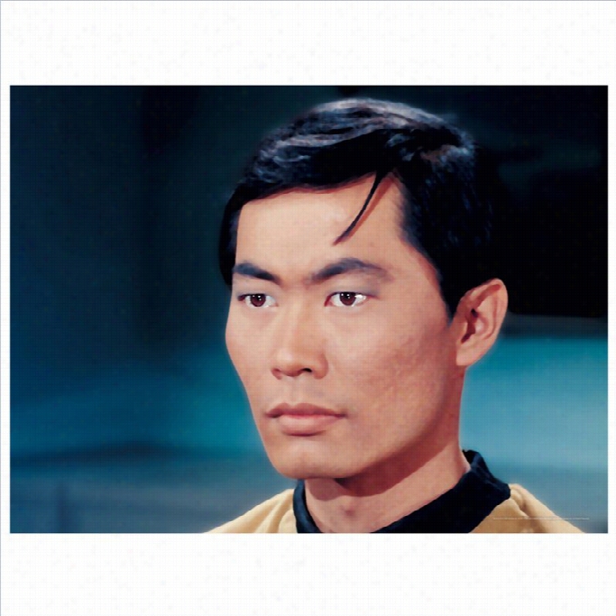 Oriental Furniture Star Trek Lieuteenant Hikaru Sulu Wall Art In Multicolor