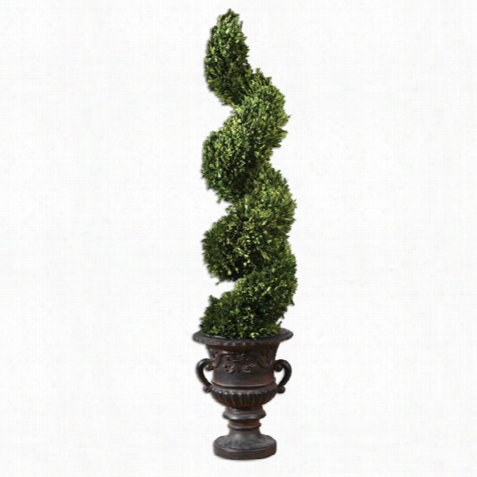 Uttermost Spiral Topiary Presrved Boxwood In Natural Evergreen