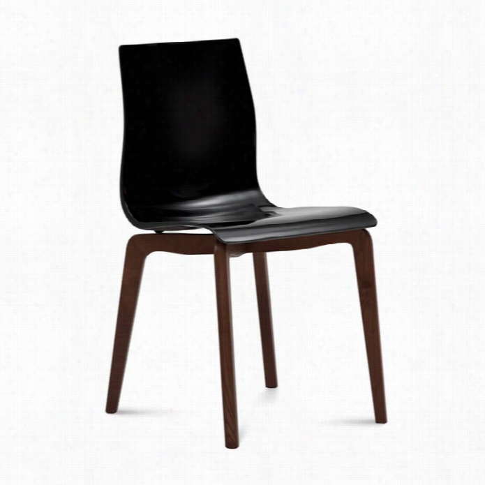 Domitalia Gel Dining Chair In Black And Chocola Te