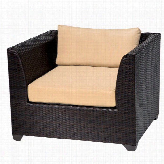 Tkc Barbados Outdoor Wicker Club Chair In Sexame