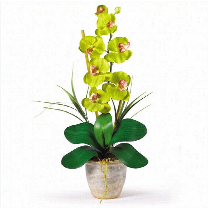 Nearly Natural Phalaenopsis Silk Orchid Flower Arrangemetn In Green